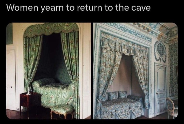 When you're tired of modern life and just want to go back to the days of comfy, curtained beds.