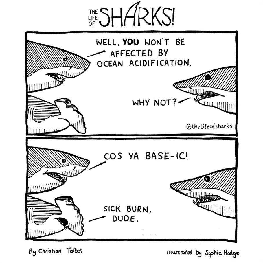 Sharks going back to chemistry class for that sick burn about ocean acidification.
