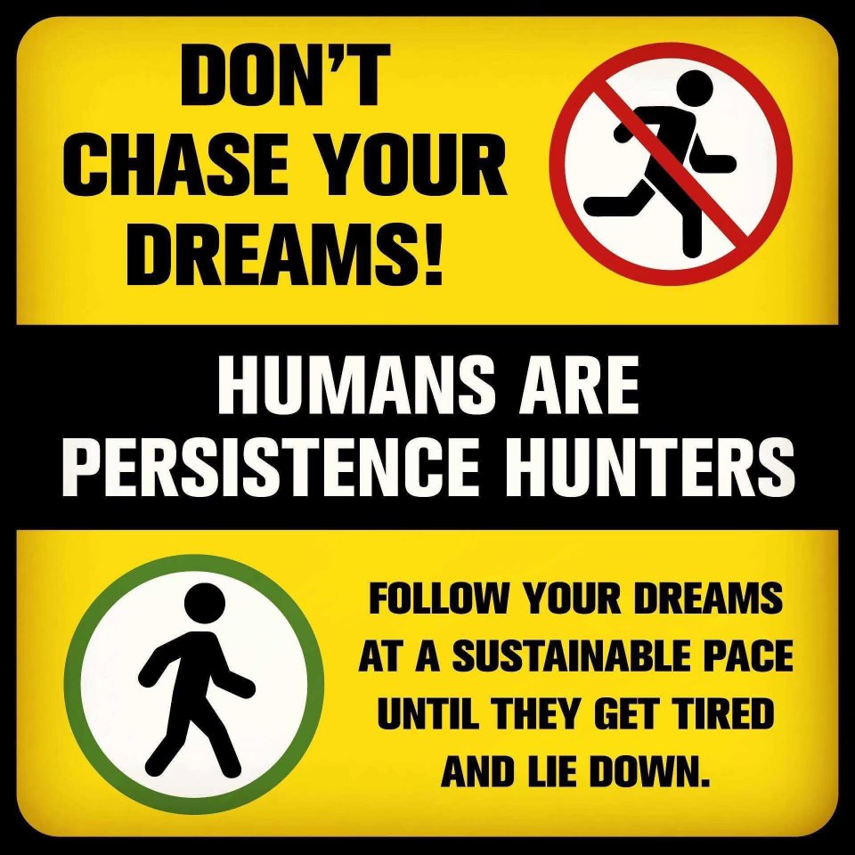 Umm, pretty sure this means we should just chill until our dreams give up and take a nap. Solid advice.