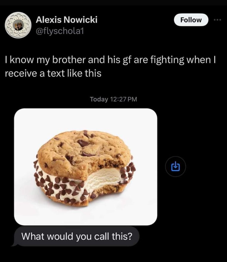 When your brother and his GF are fighting and he asks you what to call an ice cream sandwich made of two cookies. LMAO