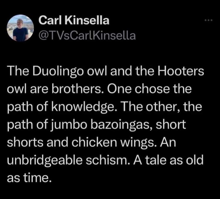 The Duolingo owl and the Hooters owl are brothers, one chose knowledge and the other chose... well, wings.