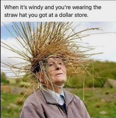 When you buy the cheapest straw hat possible and a slight breeze turns you into a walking haystack.