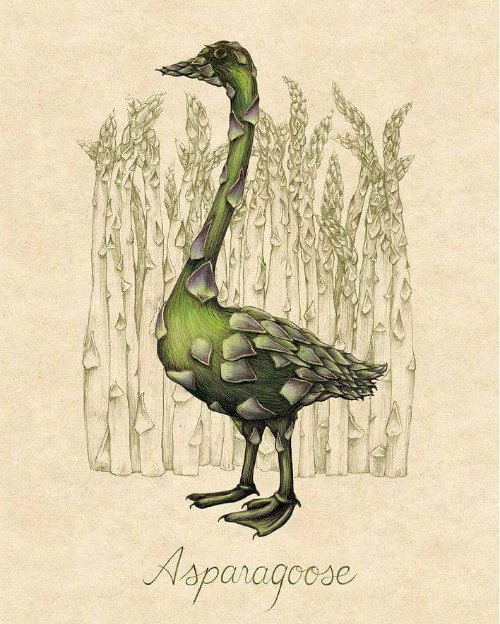 Is this an asparagoose or a gooseparagas?