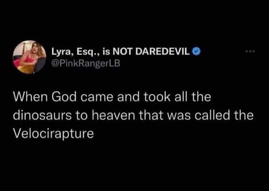 OMG that tweet about the velocirapture is killing me 😂