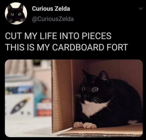 When you try to be dramatic but you're just a cat in a box