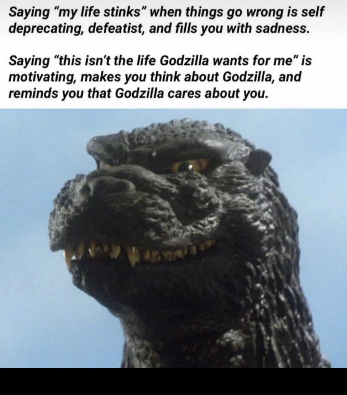 So basically, Godzilla is my life coach now?