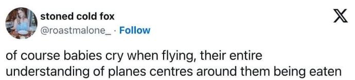 Lol, babies are just scared they're gonna get eaten on the plane