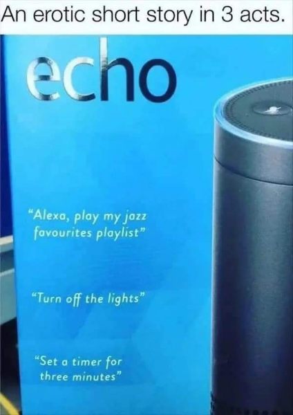 My Amazon Echo thinks this is an erotic short story lol