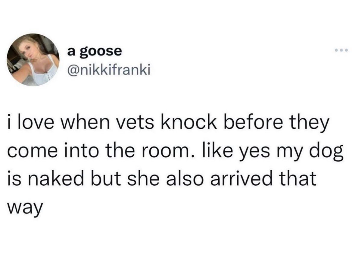 me at the vet realizing my dog basically showed up for her appointment naked